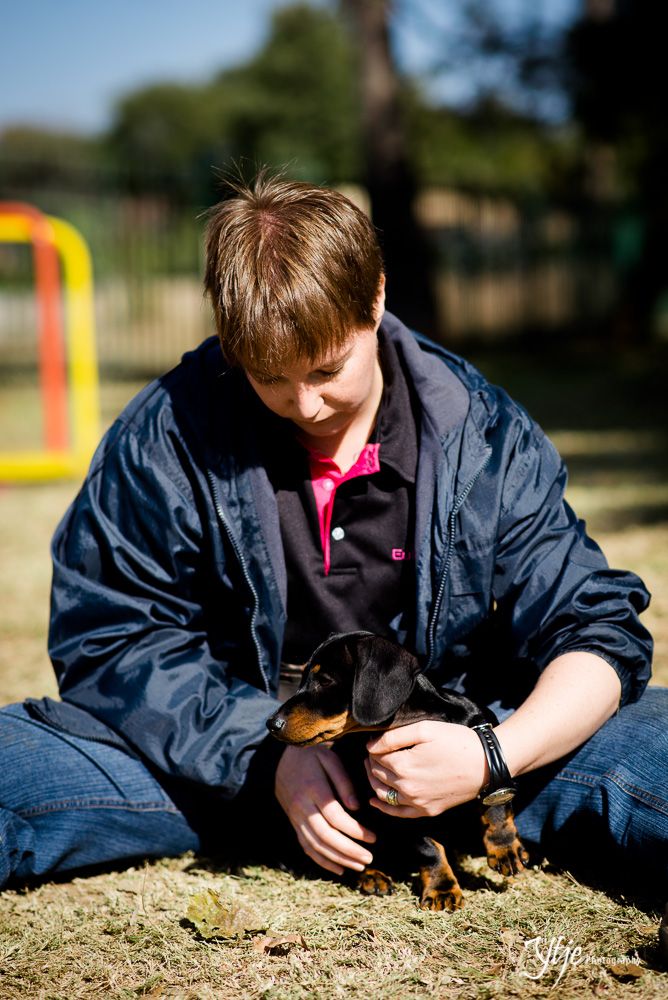 Pro-active Training for Veterinary Visits